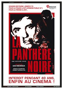 Affiche du film La Panthère noire
