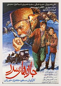 Affiche du film Les routes froides