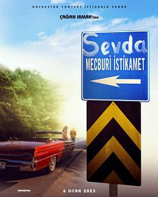 Affiche du film Sevda Mecburi İstikamet