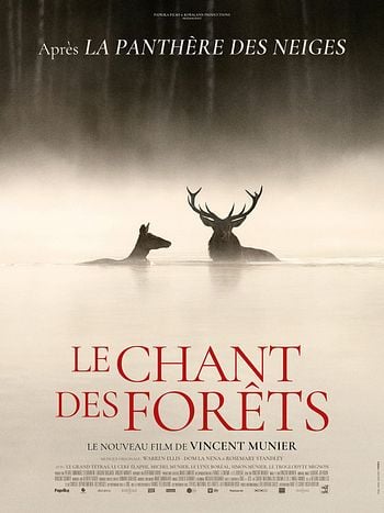 Le Chant des forêts