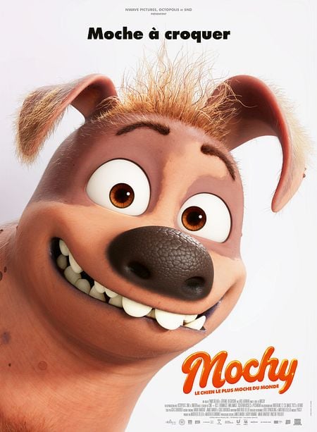Mochy