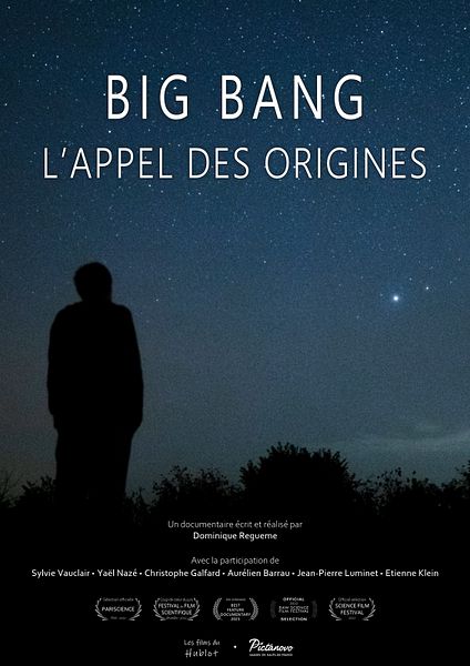 Affiche du film Big bang, l'appel des origines