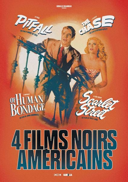 Affiche du film L'évadée