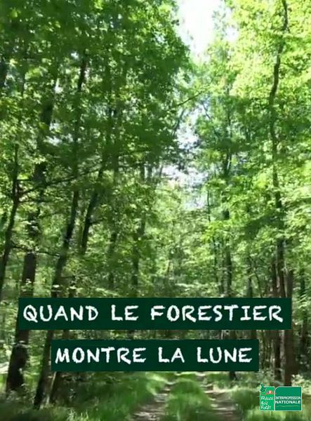 Affiche du film Quand le forestier montre la lune