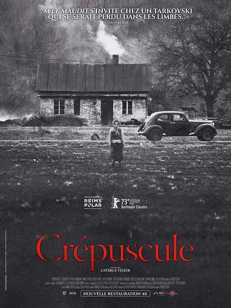 Affiche du film Crépuscule