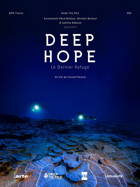 Affiche du film Greenland - Le dernier refuge