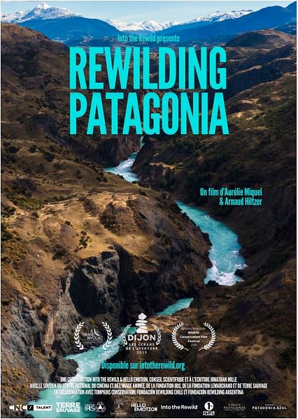 Affiche du film Rewilding Patagonia