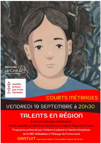 Affiche du film Talents en région