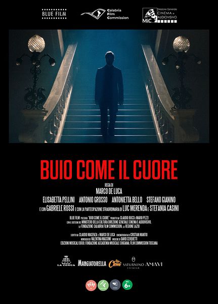 Affiche du film Noir comme le cœur