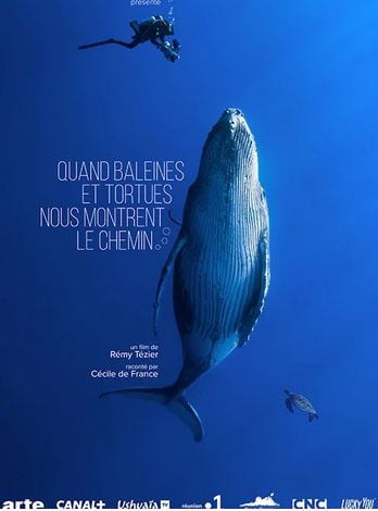 Affiche du film Des souris et des hommes