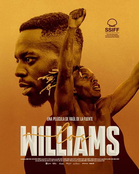 Affiche du film Los Williams