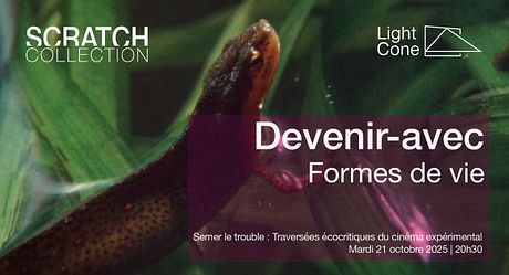 Affiche du film Scratch Collection : Devenir-avec : Formes de vie