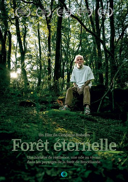Affiche du film Le Mystère de la nuit éternelle