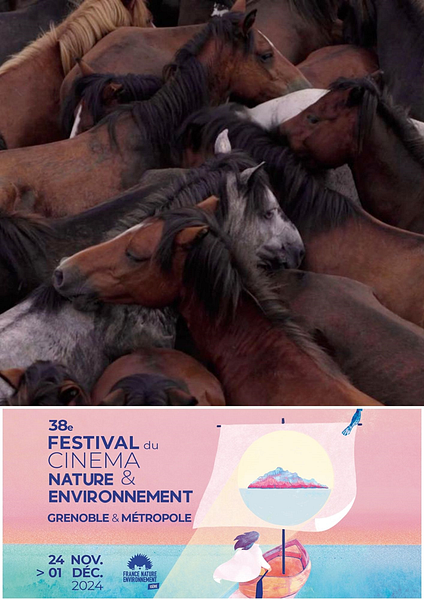 Affiche du film 5 courts métrages : Orgueil et préjugés – Festival du Cinéma Nature et Environnement  2024