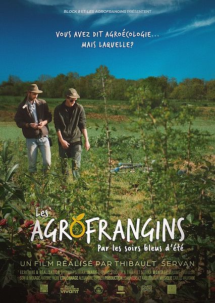 Affiche du film Les Agrofrangins, par les soirs bleus d’été