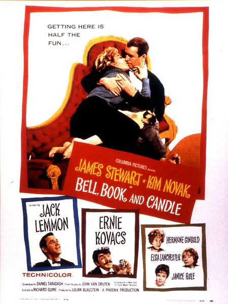 Affiche du film L'Adorable voisine