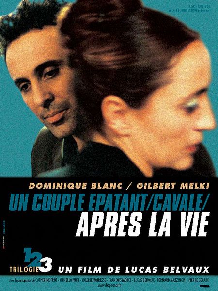 Affiche du film Après la vie