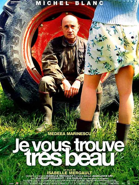 Affiche du film Je vous trouve très beau