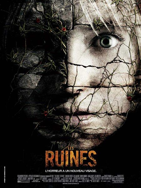 Affiche du film Les ruines