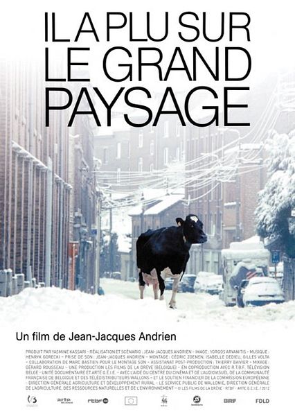 Affiche du film Il a plu sur le grand paysage