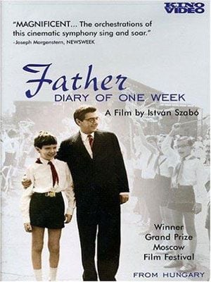 Affiche du film Père