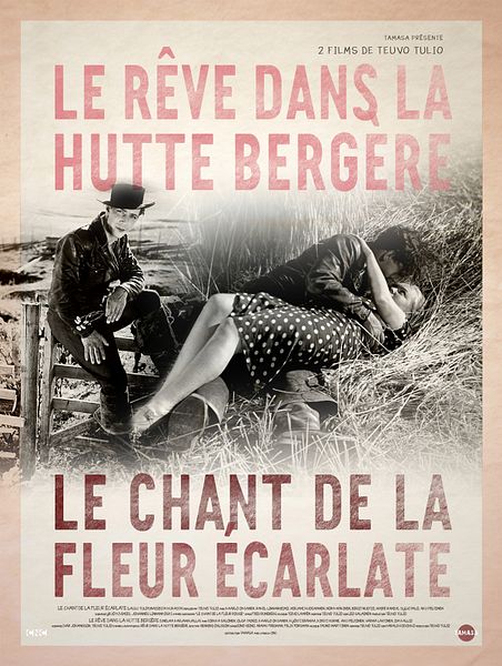 Affiche du film Le rêve dans la hutte bergère