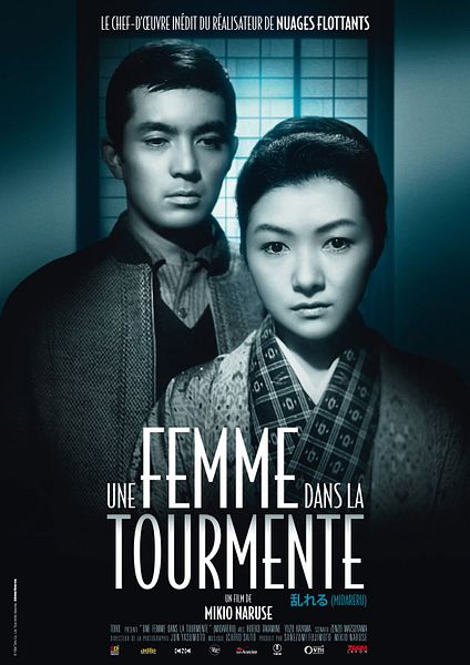 Affiche du film Une femme dans la tourmente
