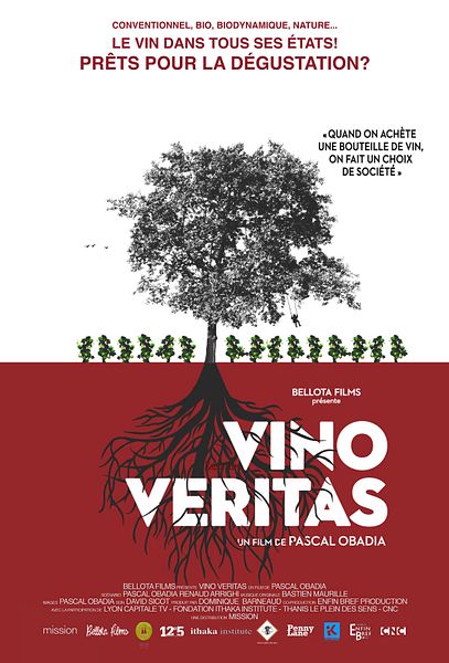 Affiche du film Vino Veritas
