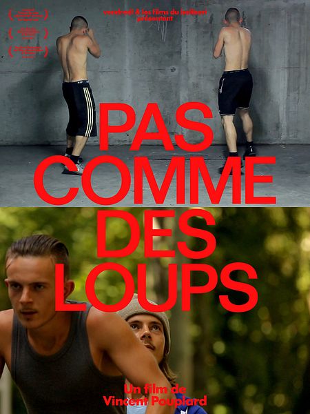 Affiche du film Pas comme des loups