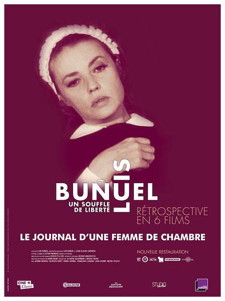 Affiche du film Le Journal d'une femme de chambre