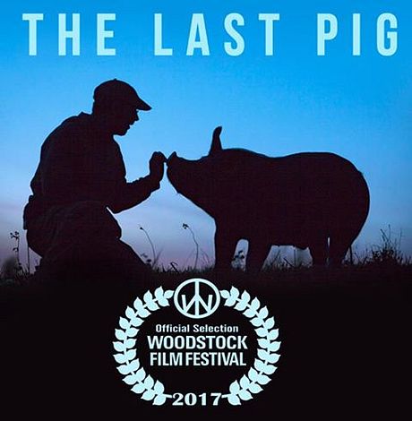 Affiche du film The last pig