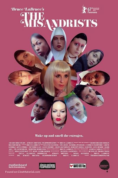 Affiche du film The Misandrists