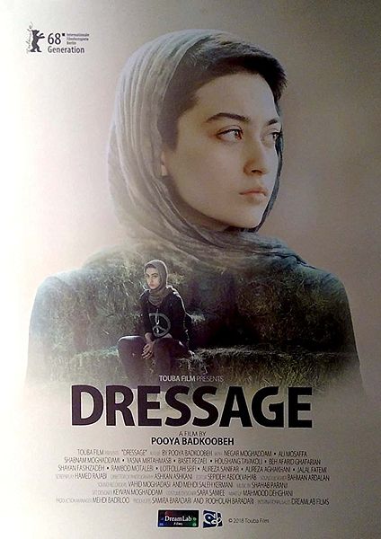 Affiche du film Dressage