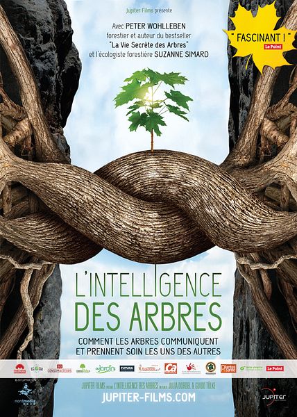 Affiche du film L'Intelligence des Arbres