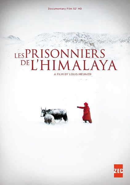 Affiche du film Prisonniers de l'Himalaya