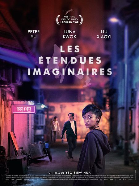 Affiche du film Les étendues imaginaires