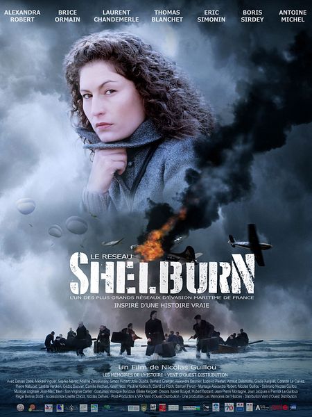 Affiche du film Le Réseau Shelburn