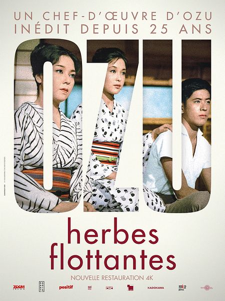 Affiche du film Herbes flottantes