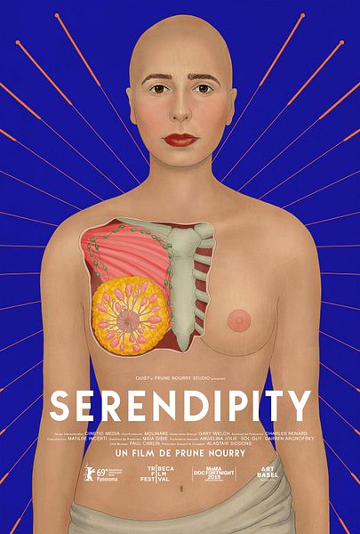 Affiche du film Serendipity