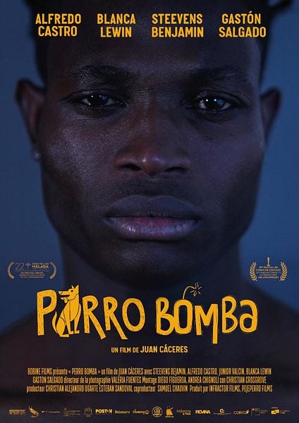 Affiche du film Perro Bomba