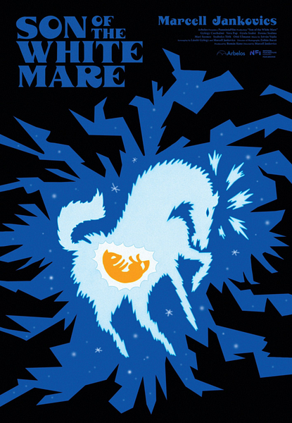 Affiche du film Le Fils de la jument blanche
