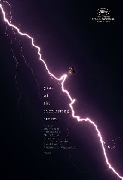 Affiche du film The Year of the Everlasting Storm