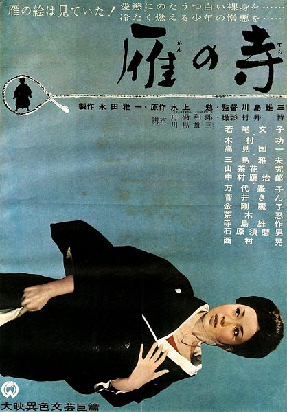 Affiche du film Le Temple des oies sauvages