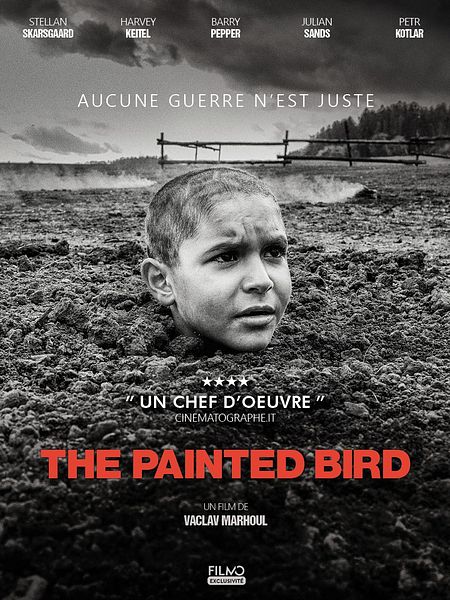 Affiche du film The Painted Bird