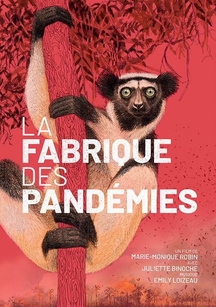 Affiche du film La Fabrique des pandémies