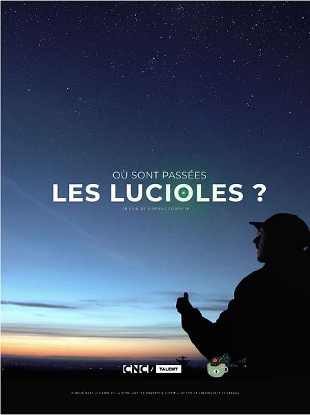 Affiche du film Où sont passées les lucioles ?