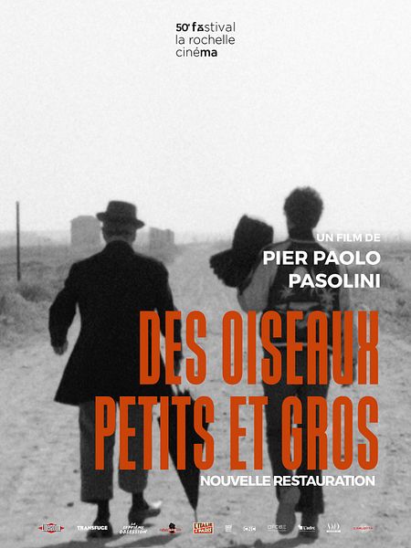 Affiche du film Des oiseaux petits et grands