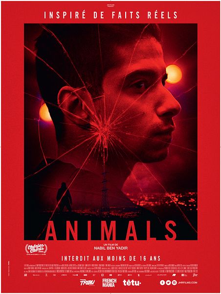 Affiche du film Animals