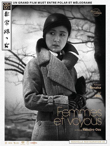 Affiche du film Femmes et voyous