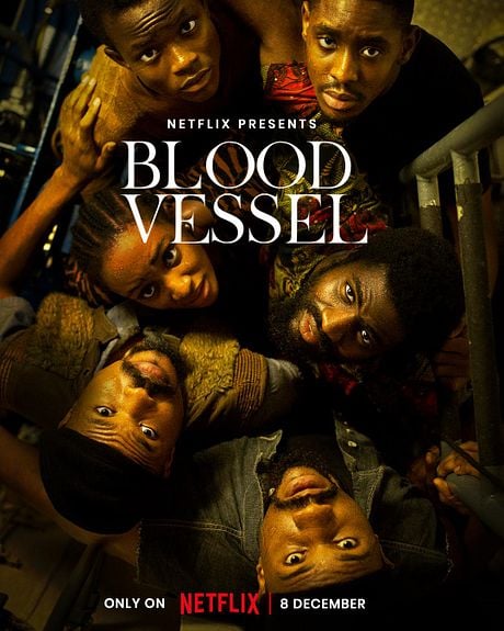 Affiche du film Blood Vessel